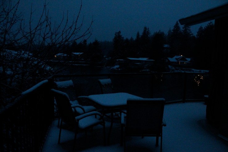 Our deck before sunrise.