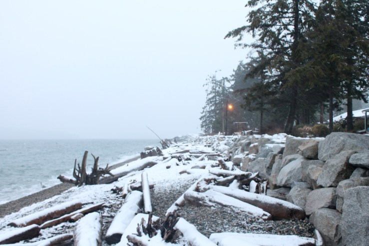 Snicket Park in Sechelt