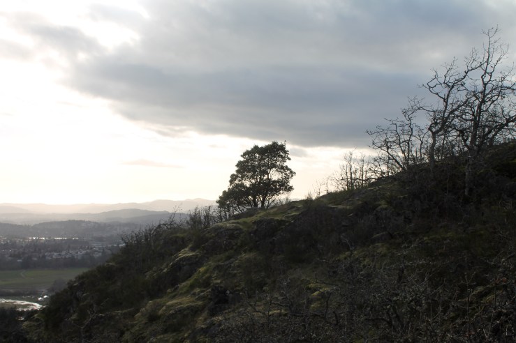 Views from Mount Doug