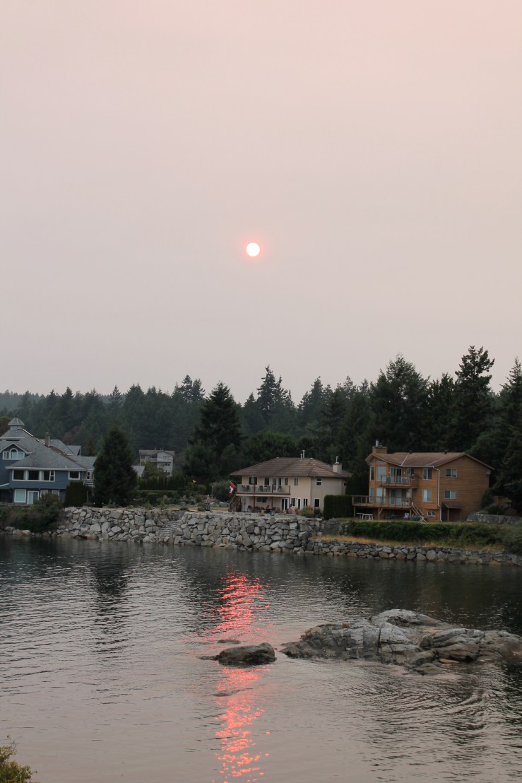 Setting sun two nights ago.