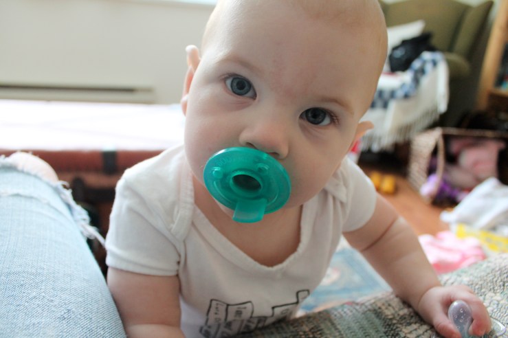 I'm just going to put this picture here. No particular reason.