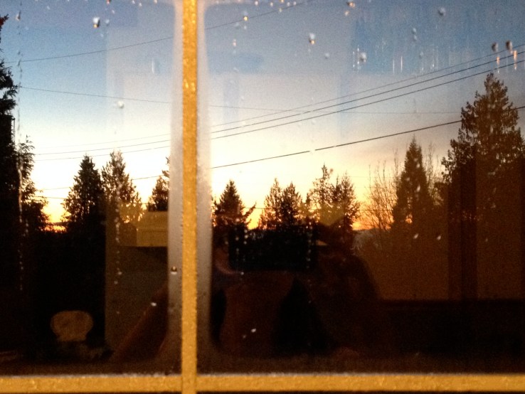 Sunrise from the kitchen window.