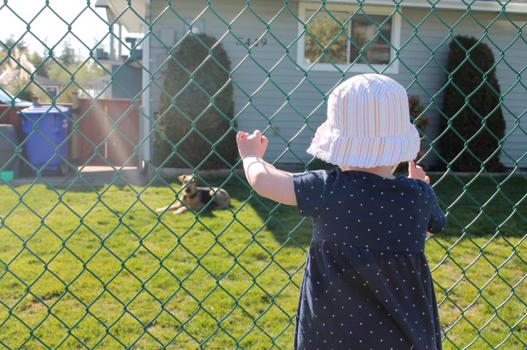 This picture has nothing to do with anything. When out for a walk, we always have to stop to say hello to dogs.