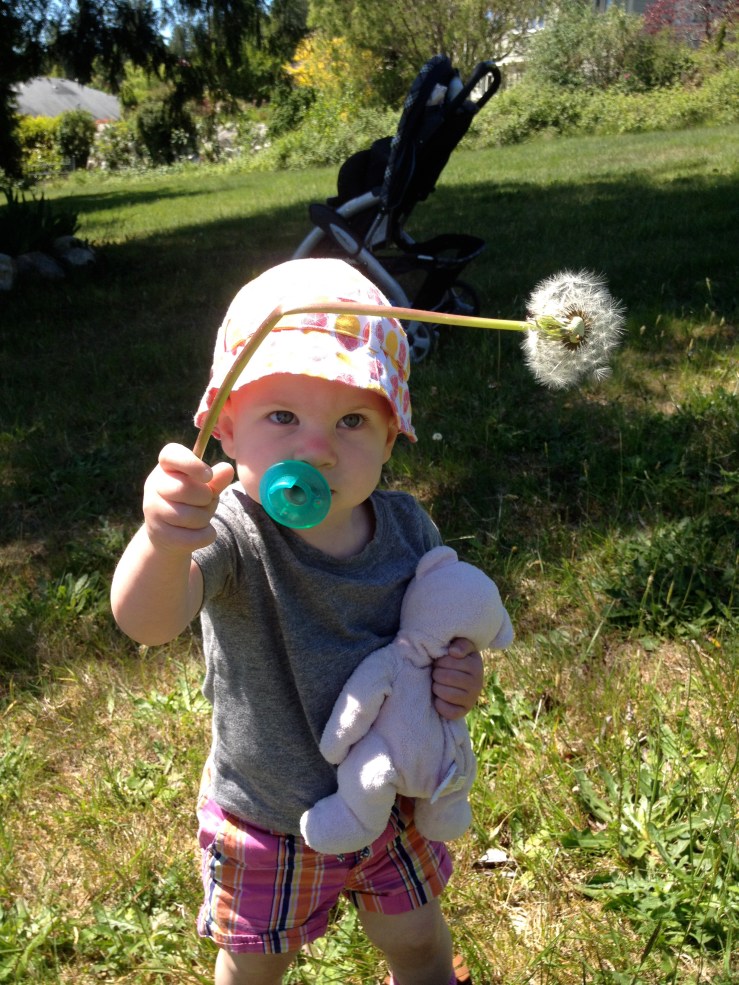 Pearl brings me flowers because I'm such a good mom. (Don't worry, she's wearing sunscreen in this picture.)