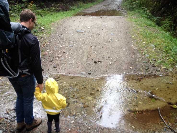 Lots of puddle weather recently.