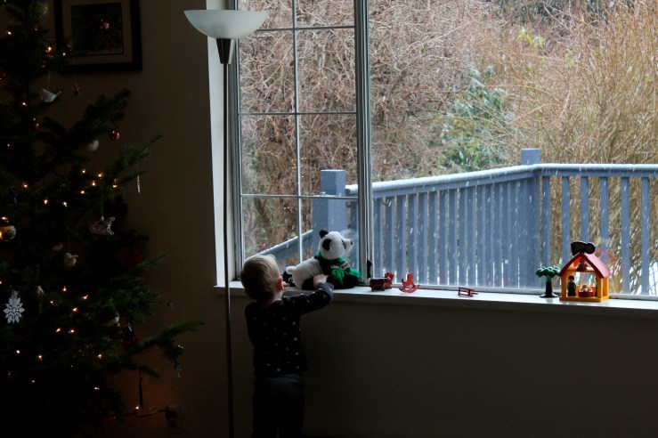 Watching the snow come down.