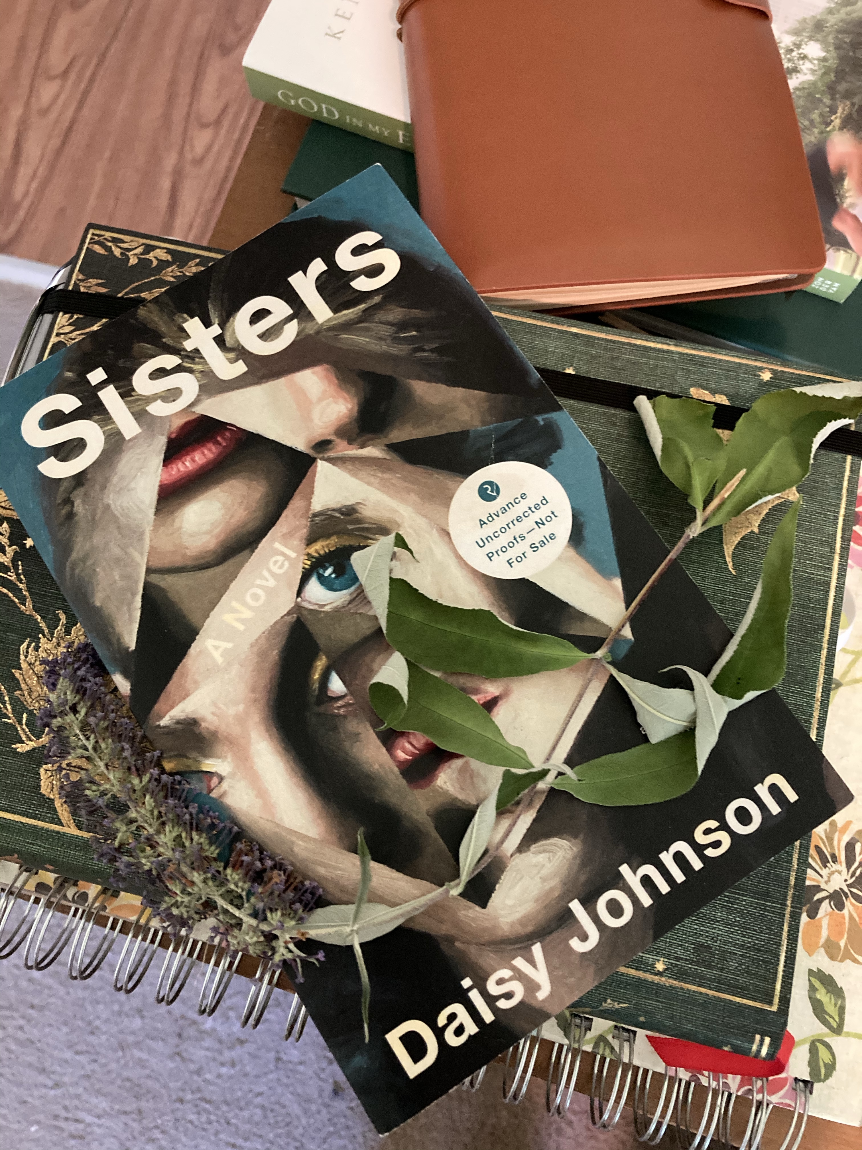 Book Review: Sisters by Daisy Johnson – Karissa Reads Books