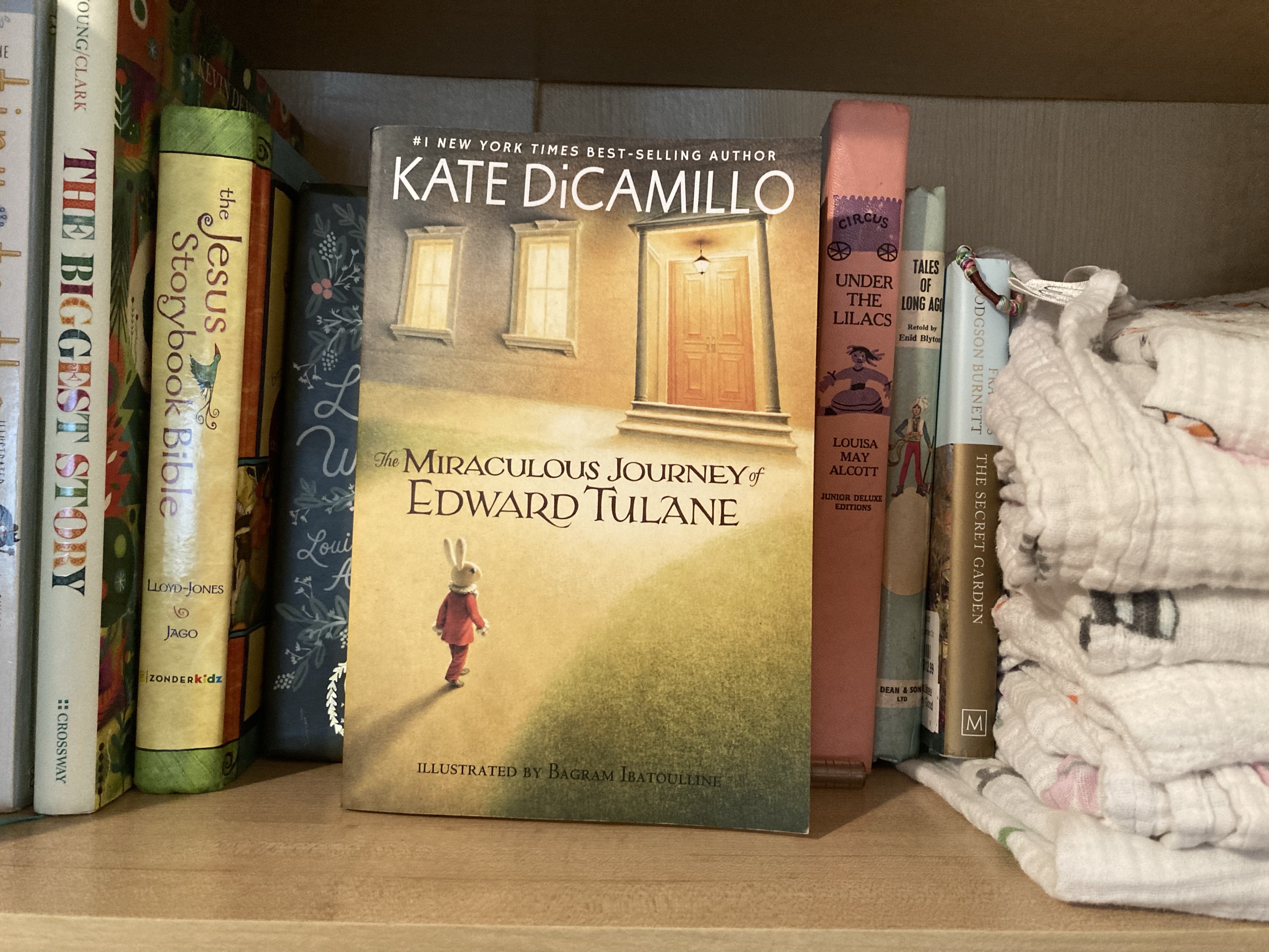 Book Review: The Miraculous Journey of Edward Tulane by Kate DiCamillo ...